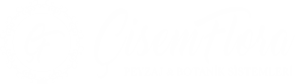 ÇİSEM FLORA